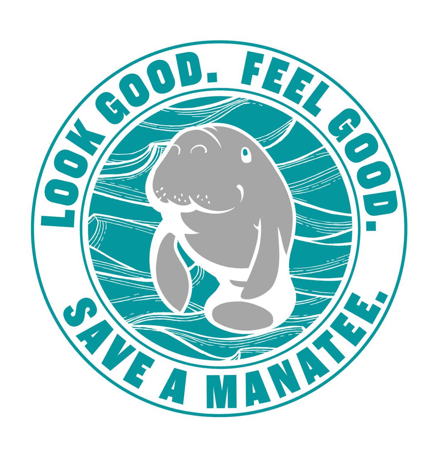 Save the Chubby Mermaids - How to Protect Florida Manatees