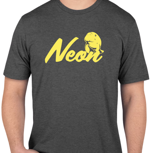 Neon Short Sleeve